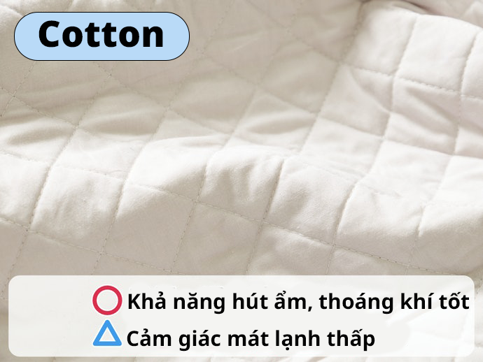 Cotton: Cảm Giác Mát Lạnh Thấp