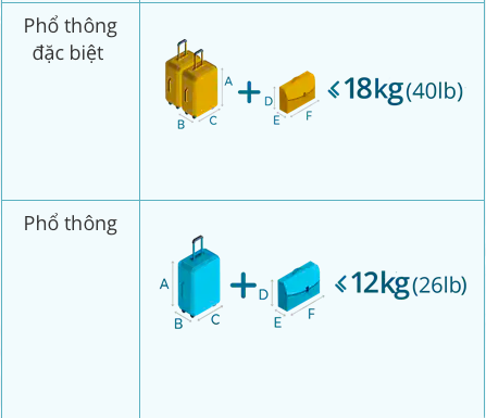 Lựa Chọn Kích Thước Theo Quy Định Của Các Chuyến Bay