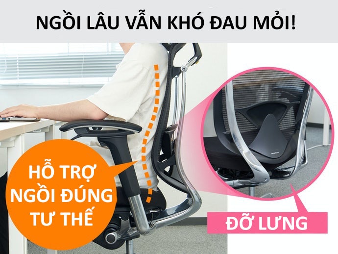 Ghế Có Hỗ Trợ Đỡ Lưng: Giúp Giảm Thiểu Gánh Nặng Lên Lưng