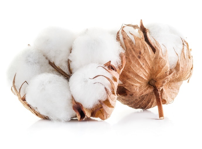 Chất Liệu Bông (Cotton) Hữu Cơ Phù Hợp Với Các Bé Da Khô