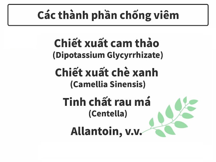 Thành Phần Giảm Viêm: Ngăn Ngừa Các Vấn Đề Về Mụn