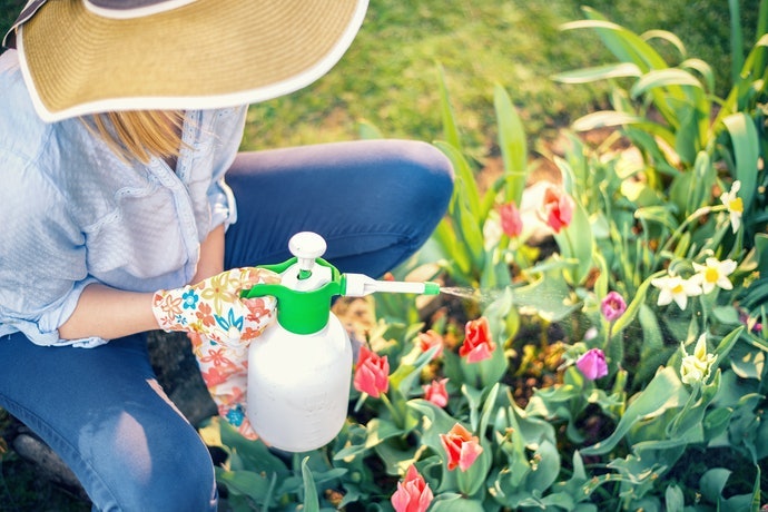 Phun Tưới Ở Khu Vực Hẹp, Chọn Bình Xịt Tích Hợp Vòi Dài