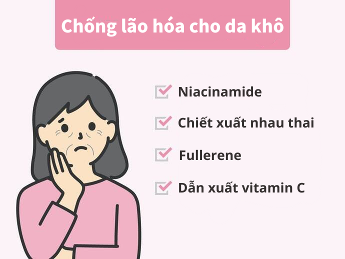 Thành Phần Chống Lão Hóa Cho Da Có Tuổi
