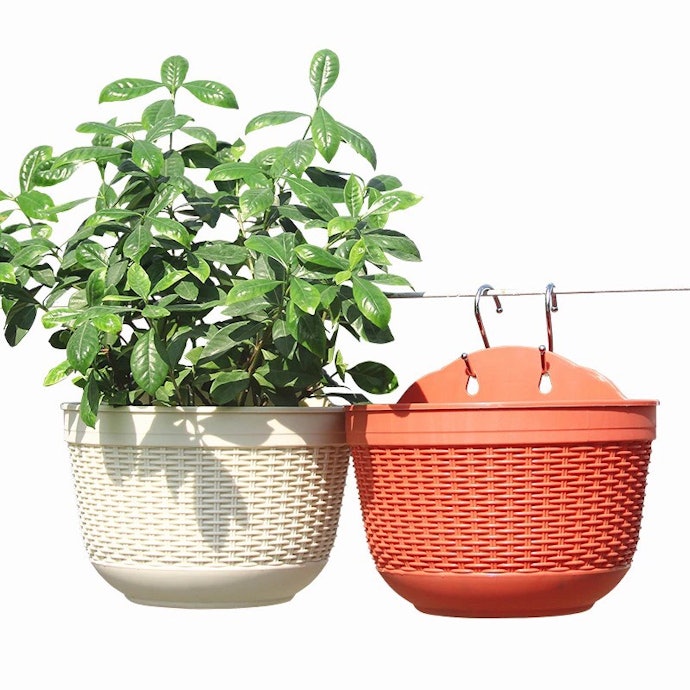 Chậu Treo Ốp Tường: Tận Dụng Không Gian Thẳng Đứng