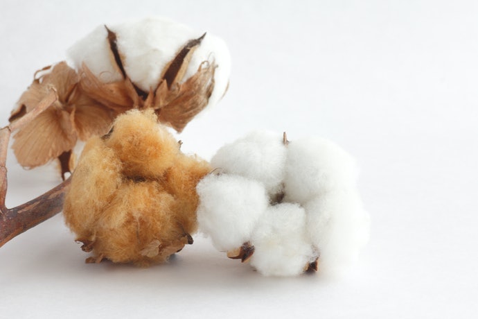 Chất Bông Cotton Có Thể Mặc Mọi Lúc Mọi Nơi