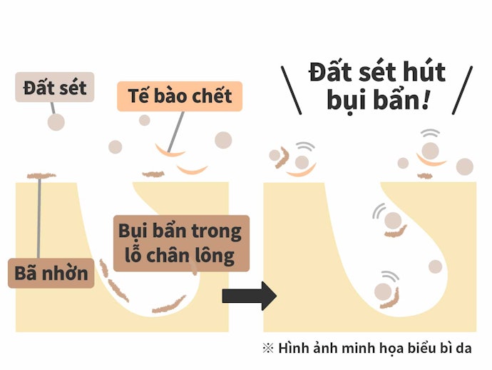 Da Khô Vừa: Cân Nhắc Sữa Rửa Mặt Có Thành Phần Đất Sét