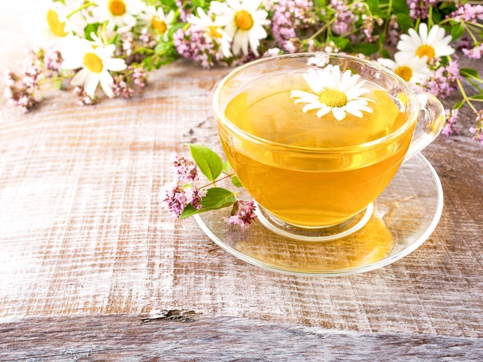 Trà Hoa Cúc La Mã: Thư Giãn, Đại Diện Tiêu Biểu Của Trà Thảo Mộc