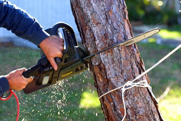 Loại Điện: Gọn Nhẹ, Dễ Sử Dụng Với Người Vừa Bắt Đầu