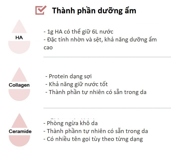 Da Khô: Thành Phần Giữ Ẩm Và Dưỡng Ẩm