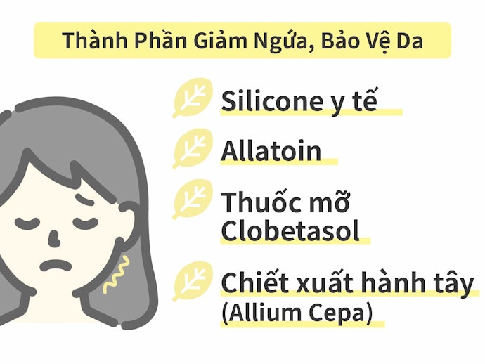 Thành Phần Giảm Ngứa, Kháng Khuẩn: Làm Dịu Da, Giúp Mau Lành
