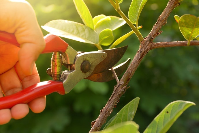 Không Mệt Mỏi Ngay Cả Khi Làm Việc Trong Thời Gian Dài