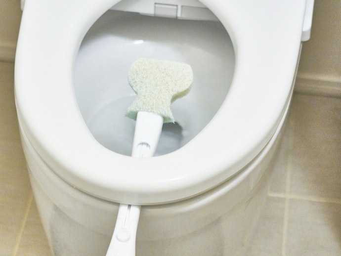 Để Cọ Khô Trước Khi Lắp Vào Hộp Đựng