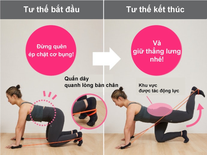 Bài Tập Cho Vùng Mông Săn Chắc