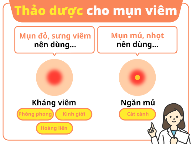 Chọn Thành Phần Dược Liệu Cho Mụn Viêm