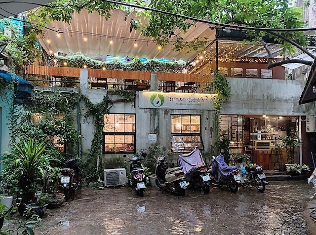 Tổ Chim Xanh - Bluebirds' Nest 2