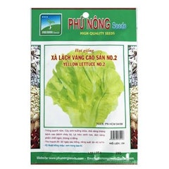 Hạt Giống Xà Lách Vàng Cao Sản Phú Nông
