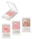IDA Laboratories Má Hồng Canmake Glow Fleur Cheeks 1