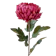 LA FLORESTA Hoa Cúc Mẫu Đơn Lụa LA FLORESTA 1