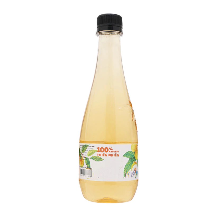 Giấm Táo Mèo Kim Ngân  2