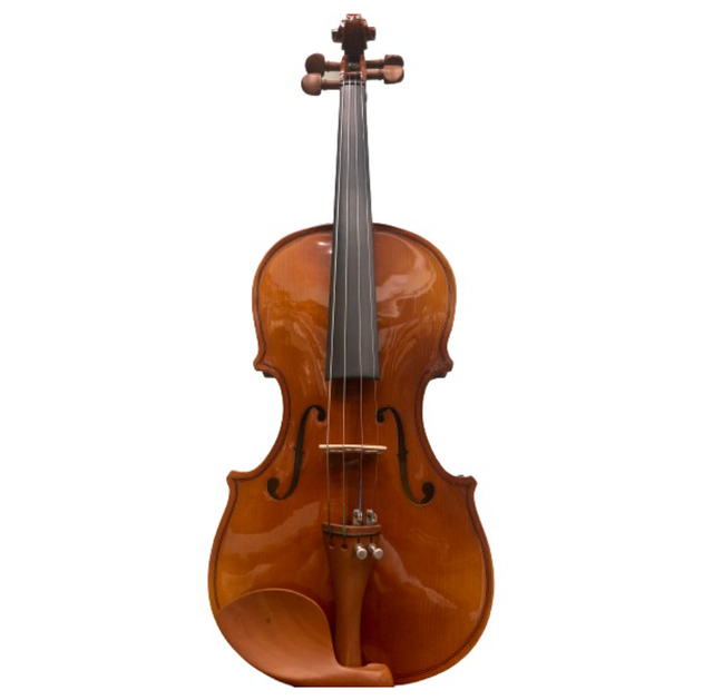 [2024] Top 10 Đàn Violin tốt nhất hiện nay cho người mới học [Tư Vấn Từ Chuyên Gia] 4