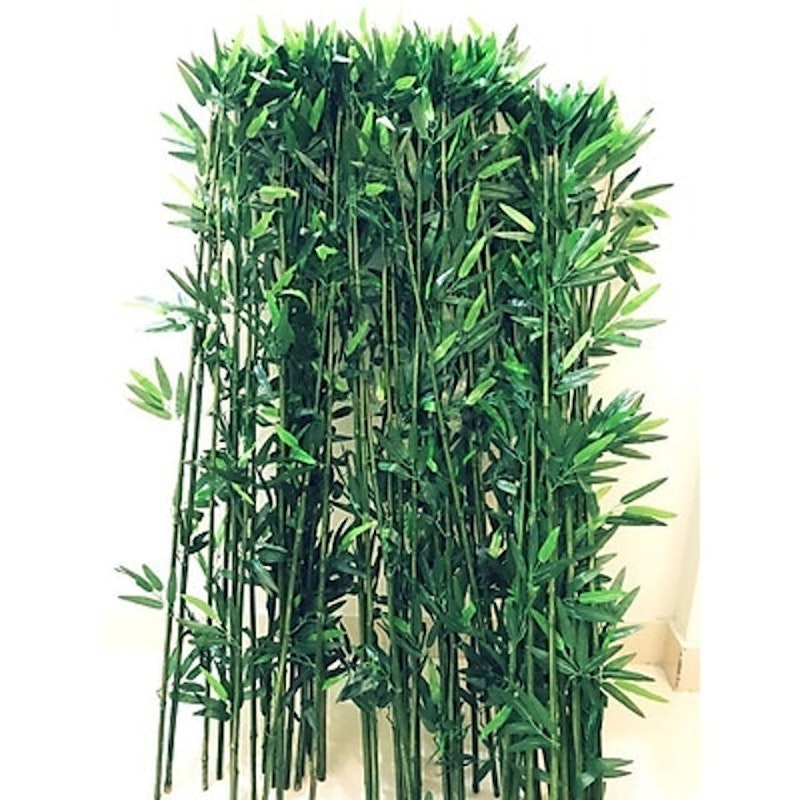 Cây Trúc, Tre Giả 1