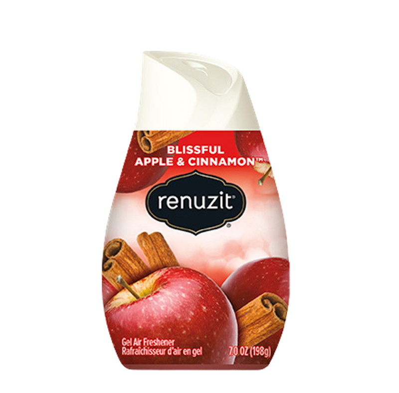 Renuzit Gel Air Freshener 2