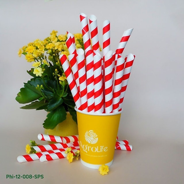 Ống Hút Giấy New Star Paper 1