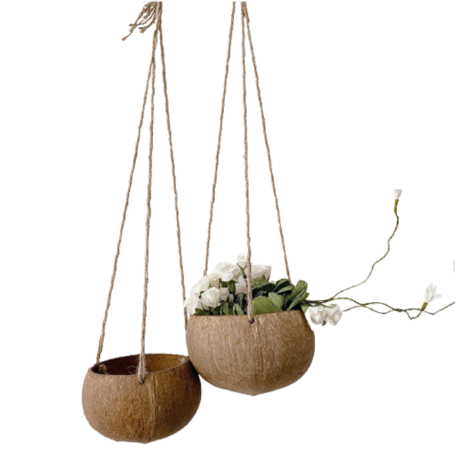 Chậu Treo Gáo Dừa 1