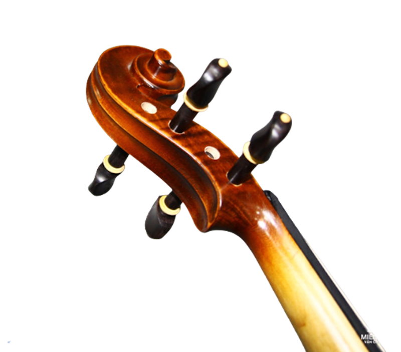 Đàn Violin Amati 3