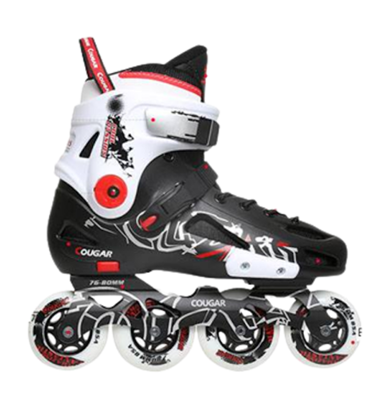 Giày Patin 1