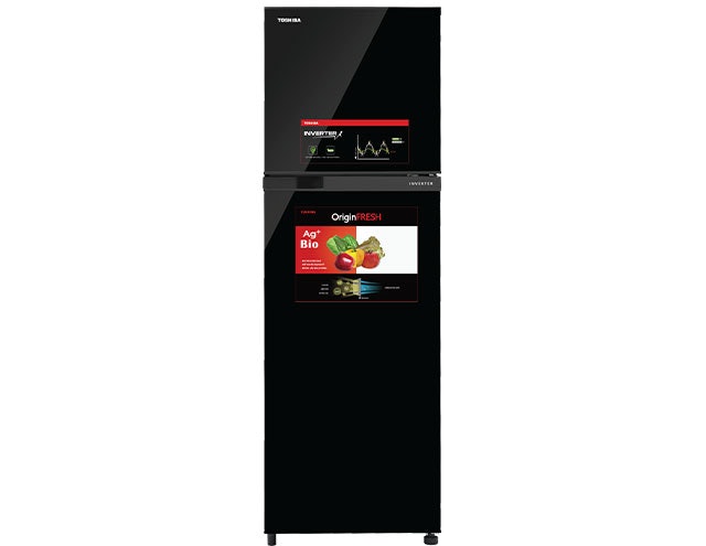 Top 7 Tủ Lạnh Toshiba tốt nhất hiện nay (Tư vấn mua) 5