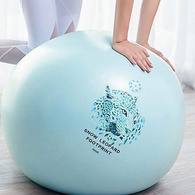 Bóng Tập Yoga Unicorn 2