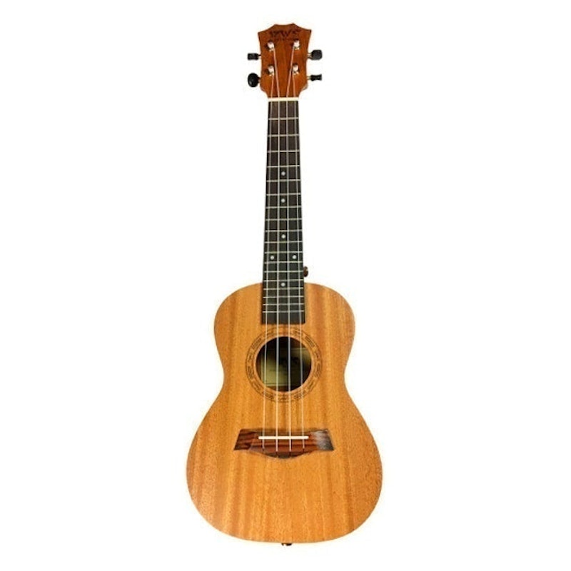 Đàn Ukulele Concert 1