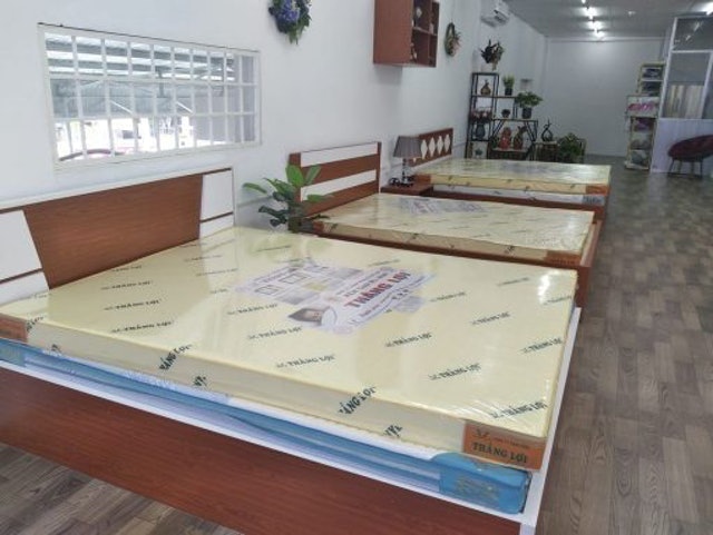 Nệm Cao Su Non 1 Tấm Thắng Lợi  3
