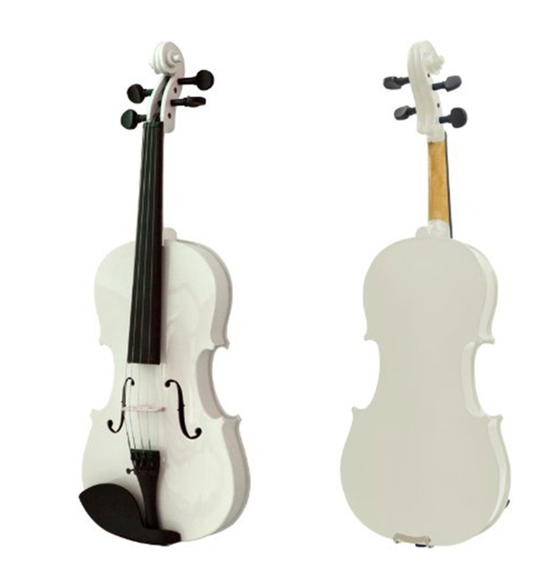 [2024] Top 10 Đàn Violin tốt nhất hiện nay cho người mới học [Tư Vấn Từ Chuyên Gia] 3