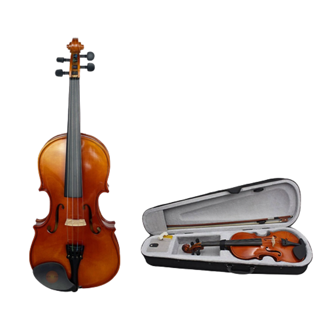 [2024] Top 10 Đàn Violin tốt nhất hiện nay cho người mới học [Tư Vấn Từ Chuyên Gia] 2