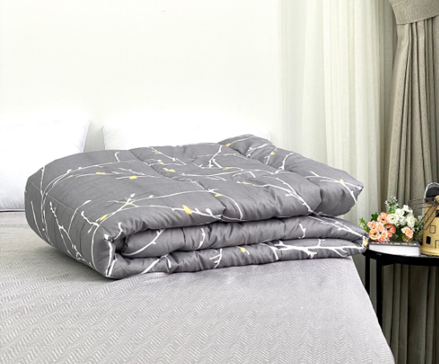 2024] Top 10 Chăn Hè Mát Lạnh tốt nhất hiện nay (Everon, Dacosa) | mybest