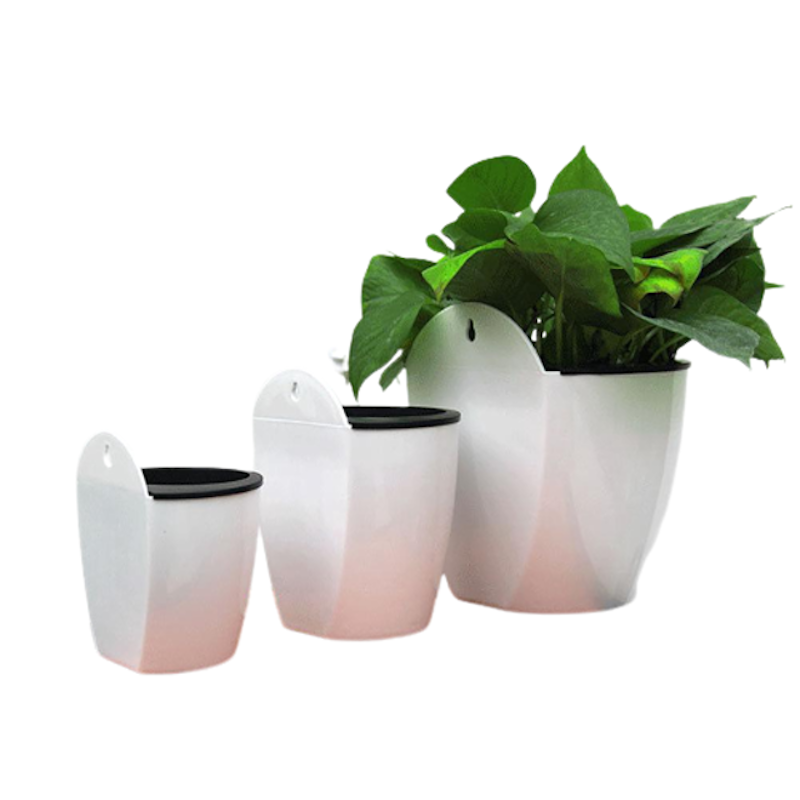 Chậu Hút Nước Tự Động 2