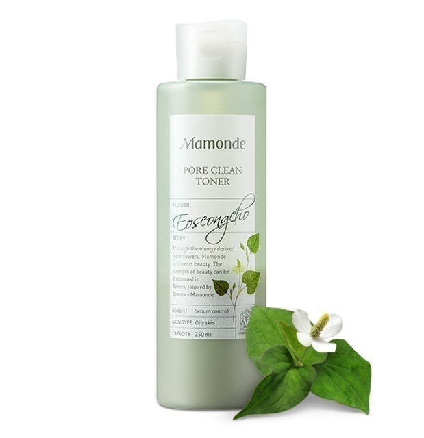 Pore Clean Toner 1