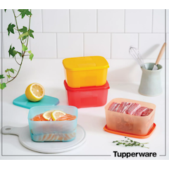 Hộp Đựng Thực Phẩm Freezermate Rainbow