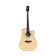 Takamine Đàn Guitar Acoustic 1