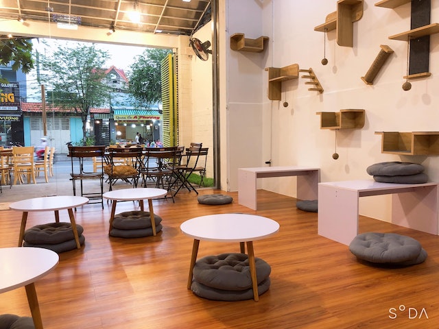 [2024] Top 10 Quán Cafe Thú Cưng Đẹp Nhất Ở TP. HCM (Cà Phê Mèo, Cà Phê Cún, Cà Phê Thỏ) 5
