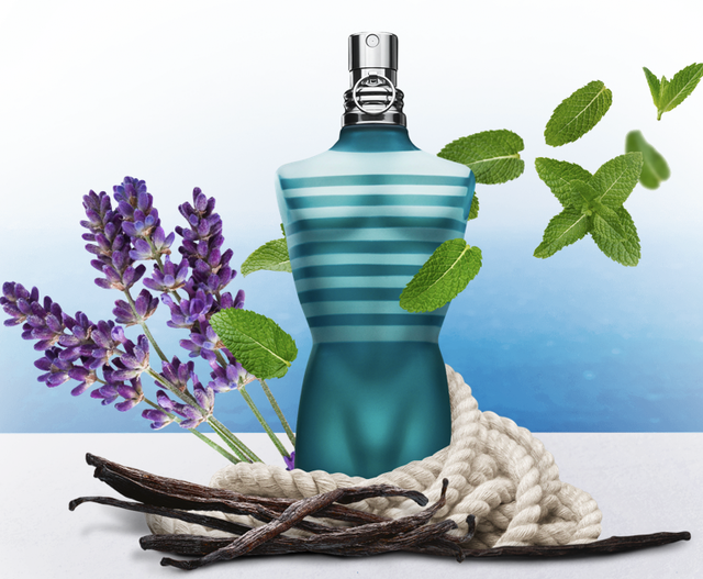 Le Male Eau de Toilette 1
