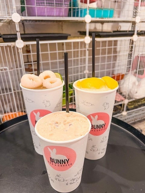 Cafe Thỏ Bunny Coffee And Tea 3