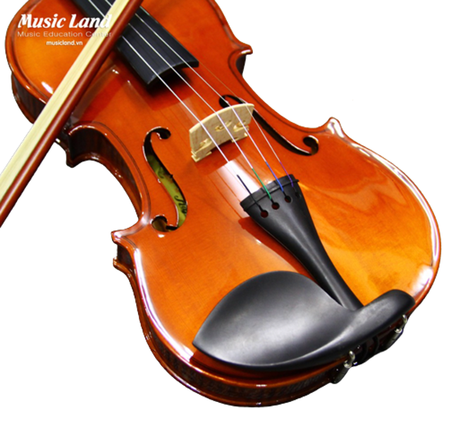 Đàn Violin Kapok 3