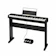 Casio Piano Điện 1
