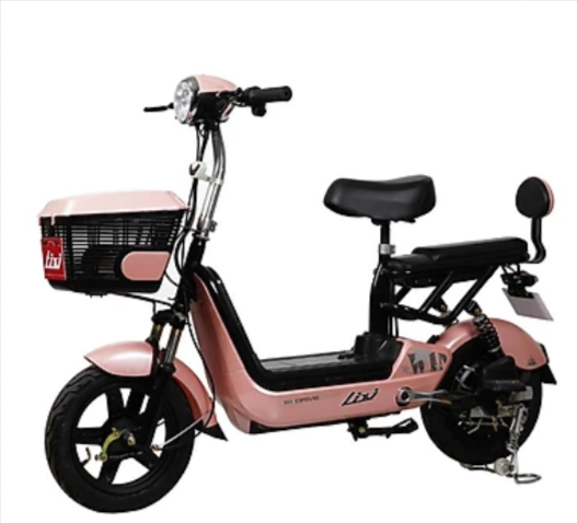 Xe Đạp Điện Lixi 1