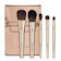 MBX Bộ Cọ Trang Điểm Pony Effect Mini Makeup Brush Set 1