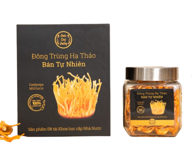 [2024] Top 11 Đông Trùng Hạ Thảo tốt nhất hiện nay (Nguyên Con, Quả Thể, Viên Uống, Nước Uống) 2