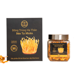 Đông Trùng Hạ Thảo Bán Tự Nhiên